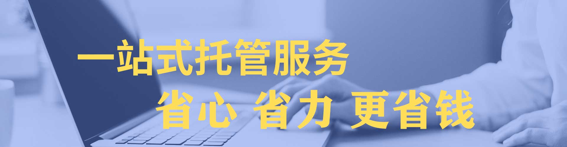 白杨知乎信息流